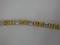 B1009